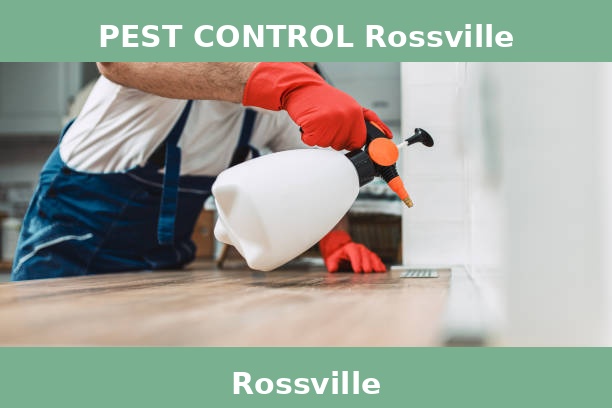 PEST CONTROL Rossville